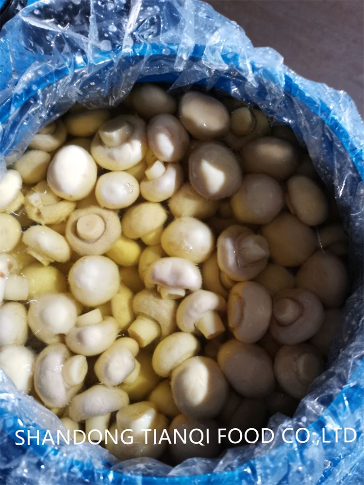 Brined mushroom factory