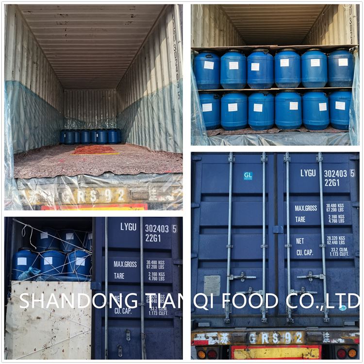Shipment loading of mushroom in drums