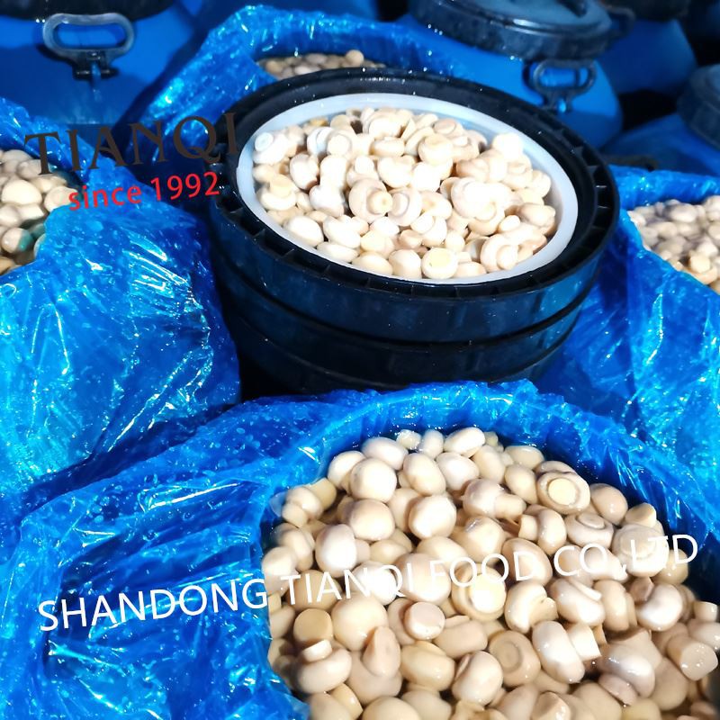 Best A(1.5-2.0cm) mushroom in vinegar in drums