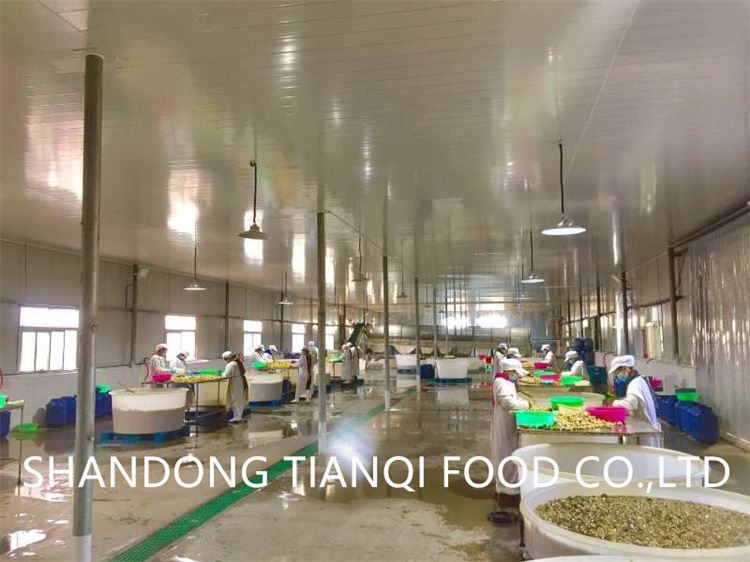 Manufacturer vinegar mushroom in drums