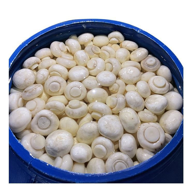 Whole white mushroom in plastic drums