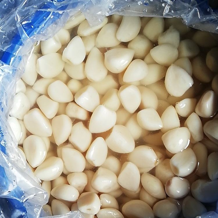 Preserved garlic in drums