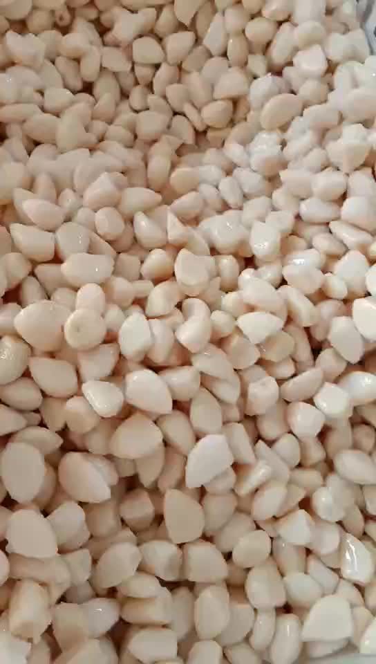 Preserved fresh white garlic in brine in drums
