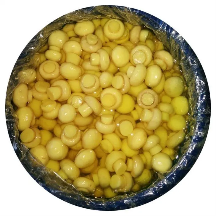 Whole white mushroom in brine in drums 2-3cm