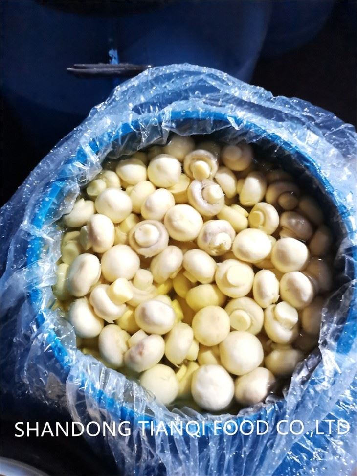 Salted white mushroom in big plastic drums