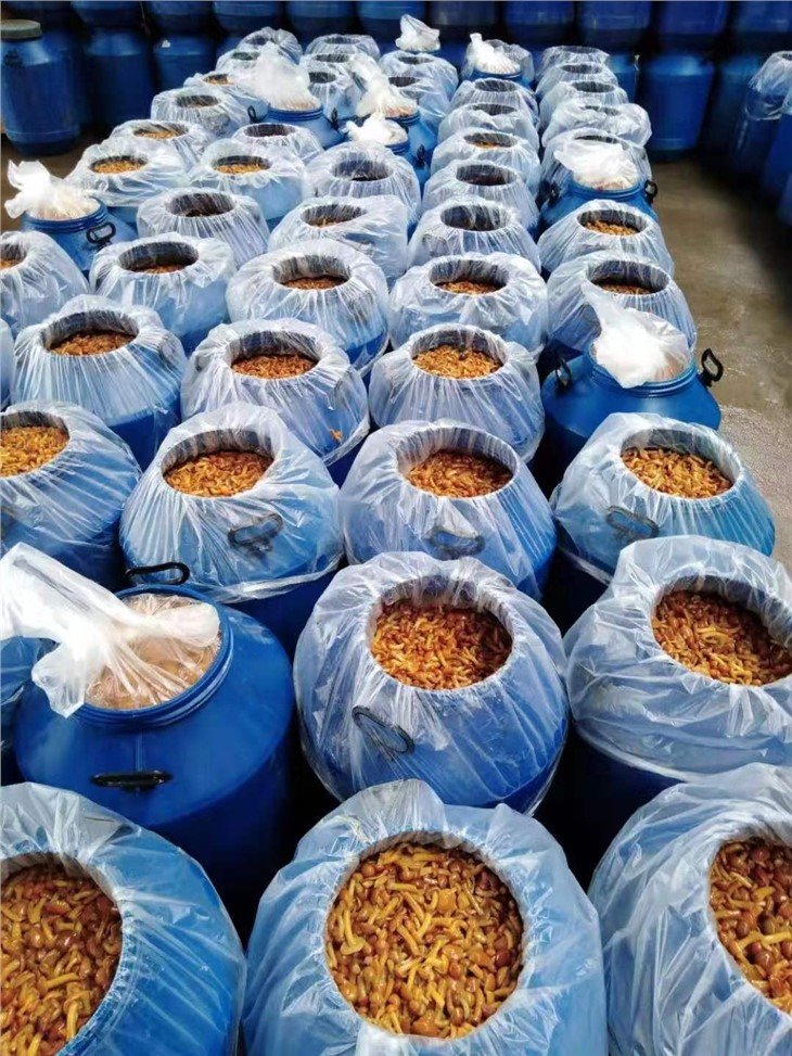 Best nameko mushroom in brine in drums