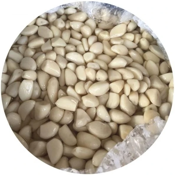 High quality pickled garlic in salted water in drums