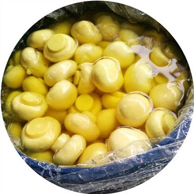 Funghi champignon in fusti