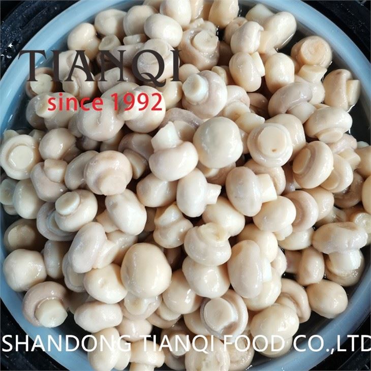 50kgs drum packing mushroom in brine 2-2.5cm