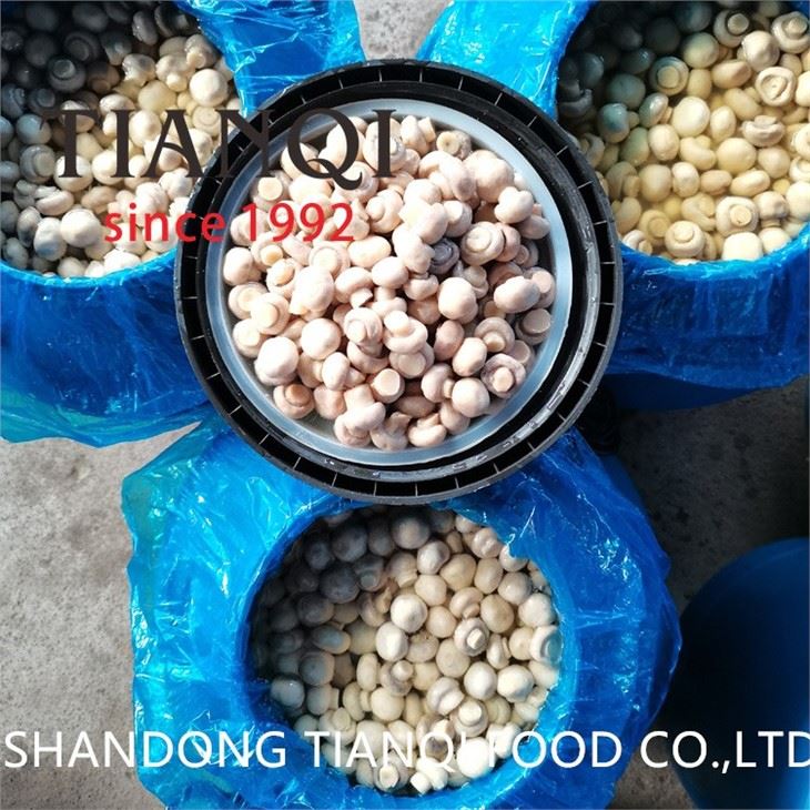 2-2.5CM WHITE MUSHROOM IN BRINE IN DRUMS