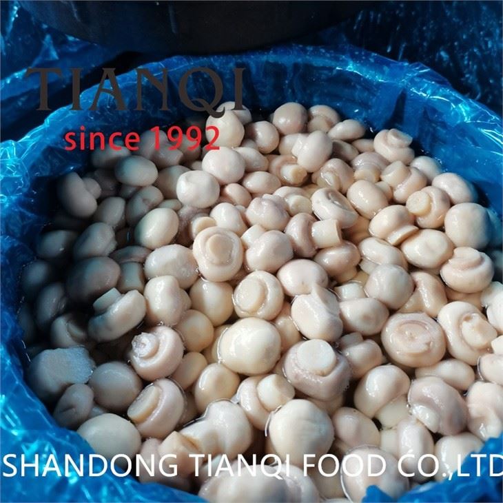 Whole white mushroom in big drum 50kgs