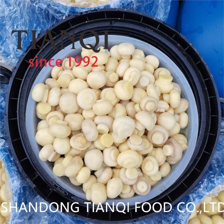 Preserved white mushroom in brine in plastic drums