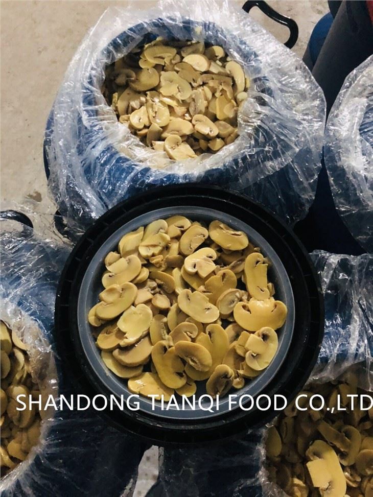 Funghi in Salamoia in Fusto di Plastica da 50kg