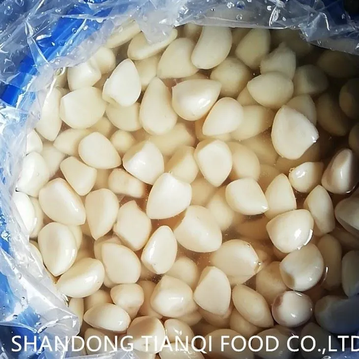 High quality peeled white garlic cloves in brine in drums