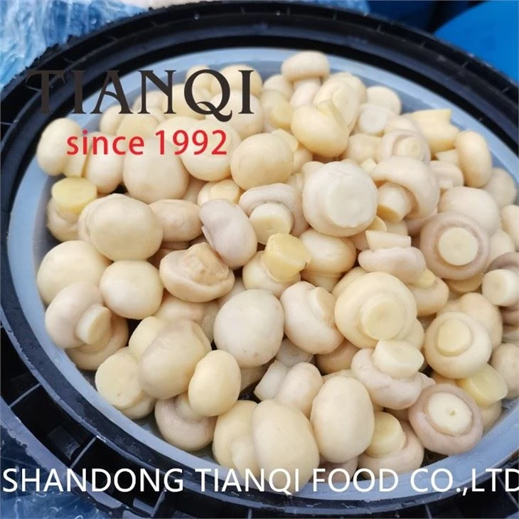 Salted whole White Mushroom in Plastic Drums