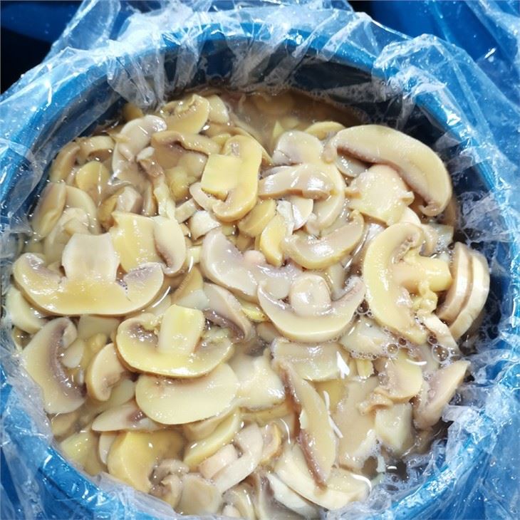 Fungo pulsante bianco nei tamburi