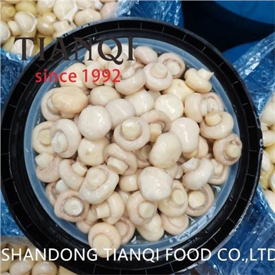 Funghi coltivati ​​in salamoia in fusti