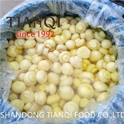 Nuovo raccolto di funghi bianchi in salamoia in fusti