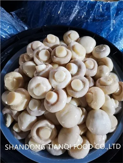 Nuovo raccolto di funghi freschi in salamoia in tamburo