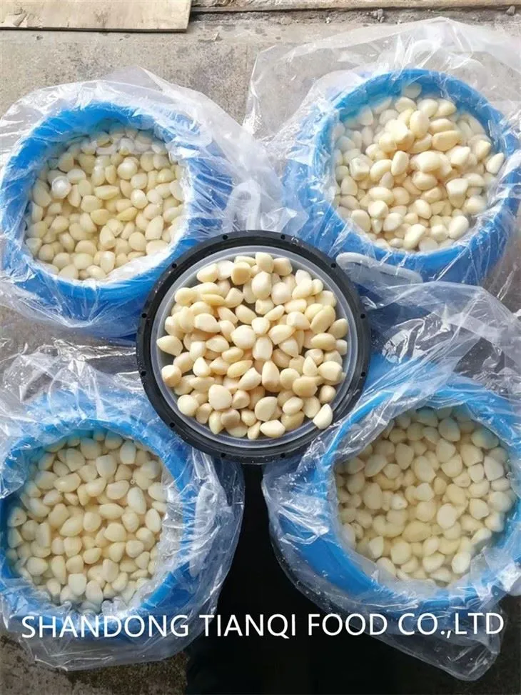 Chinese Peeled Garlic Cloves in Brine in Drums