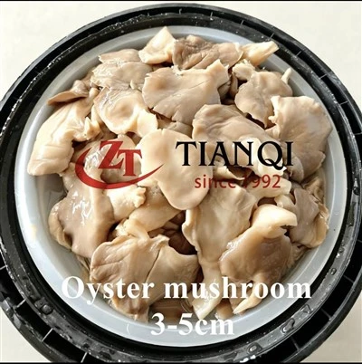 3-5 cm Oyster Mushroom in Brine in batteria