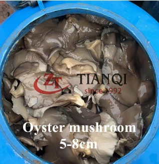 5-8 cm Oyster Mushroom in Brine in batteria