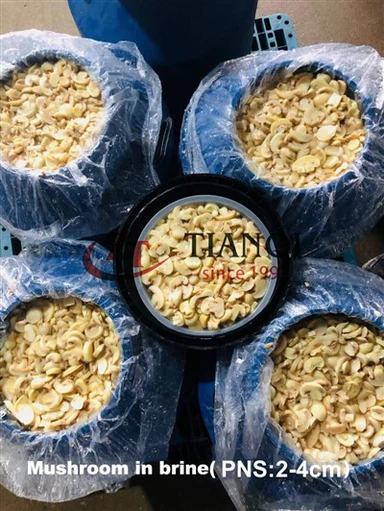 Funghi freschi di alta qualità in salamoia in fusti di plastica