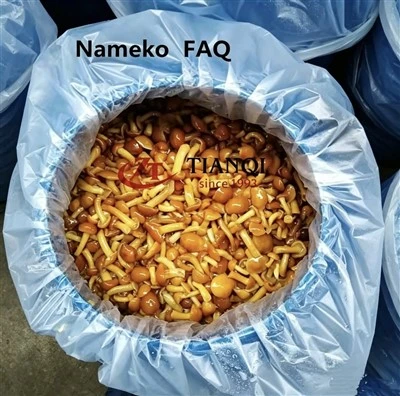 Domande frequenti su Nameko in Brine in Drums
